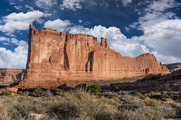 Finn - Arches NP _DSC9044-Edit.jpg