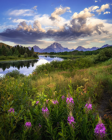 Sunrise at Ox Bow Bend, Grand Teton NP _DSC5372