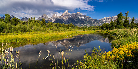 Schwabacher Landing -Grand Teton NP _DSC4730