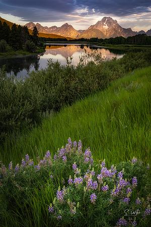 Sunrise at Ox Bow Bend, Grand Teton NP _DSC5335
