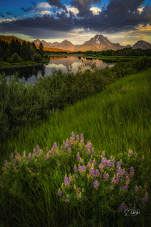 Sunrise at Ox Bow Bend, Grand Teton NP _DSC5334