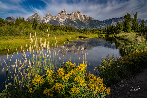 Schwabacher Landing -Grand Teton NP _DSC5497