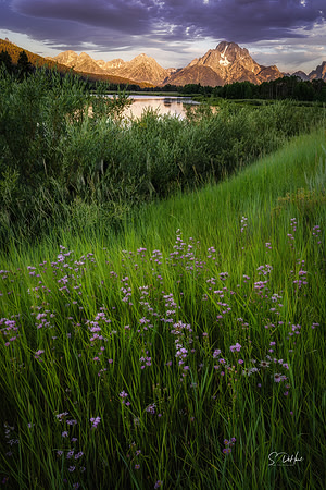 Sunrise at Ox Bow Bend, Grand Teton NP _DSC5322