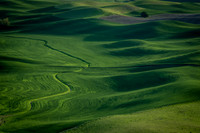 Palouse Country