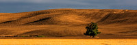 Palouse at Sundown