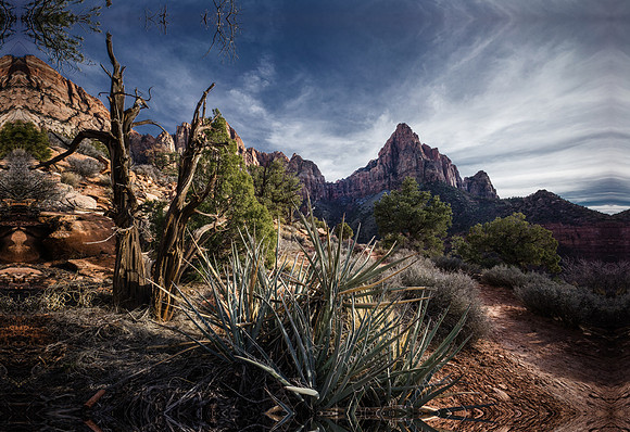 The Watchman at Zion National Park