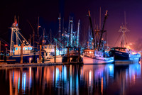 Sea Life-photos