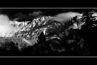 Winter Black and White