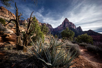 Red Rock