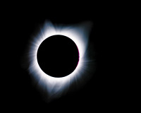 The Corona