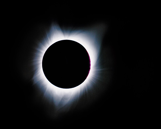 The Corona