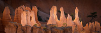 Bryce