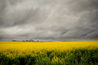 The Palouse of Idaho and Washington