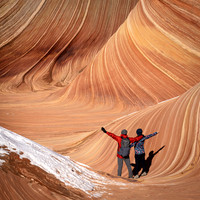 The Wave