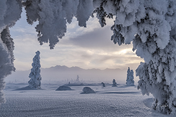 Snow People 9_DSC1061