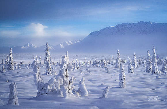 Snow People 4_DSC0274