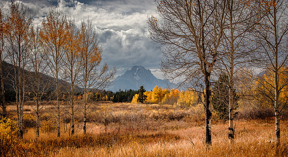 Storm at Schwabacher Landing 5