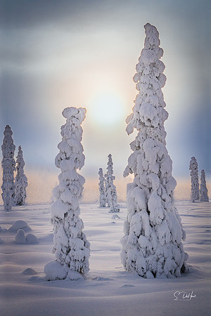 Snow People 1_DSC0233