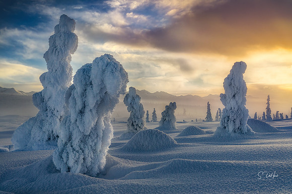 Snow People 10_DSC1072