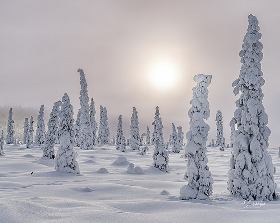 Snow People 2__DSC0250
