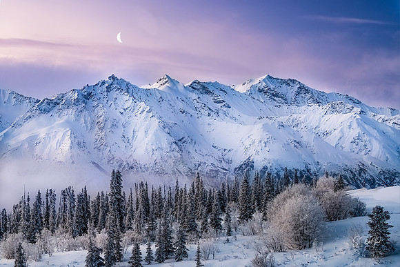 Morning Light_DSC0240