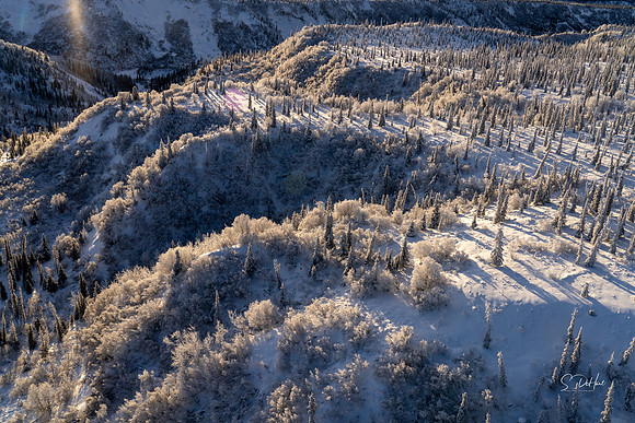 Mountain from Above 11_DSC0918