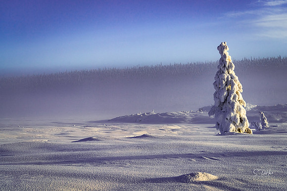 Snow People 7_DSC1043