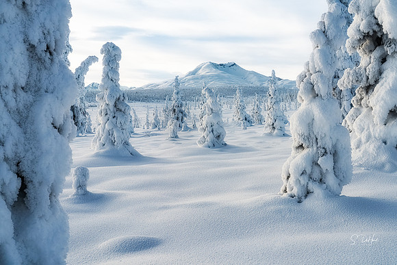 Snow People 5_DSC0113