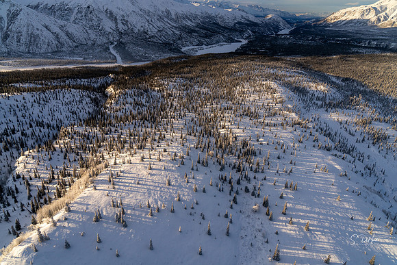 Mountain from Above 10_DSC0818