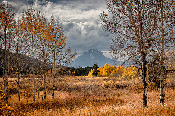 Jackson Lake Winter Panorama 1
