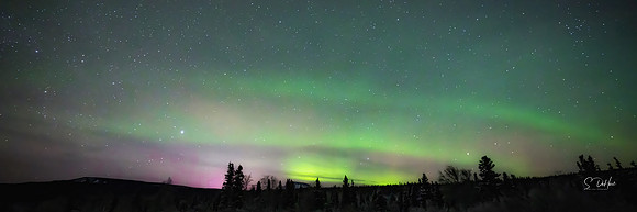 Northern Lights_DSC00068