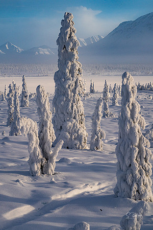 Snow People 3_DSC0261