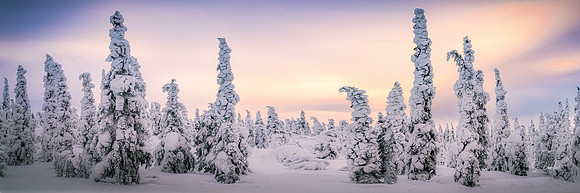 Snow Shapes with Sunset Sky_DSC00199