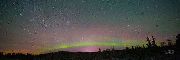 Northern Lights_DSC00097