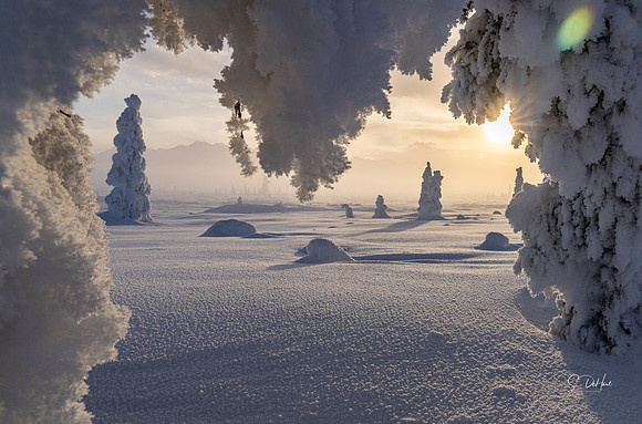 Snow People 8_DSC1058