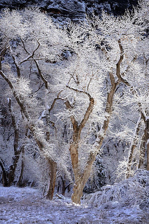 _DSC8019-Edit-2x3