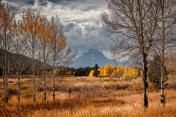 _D8A7917-2x3 Crop