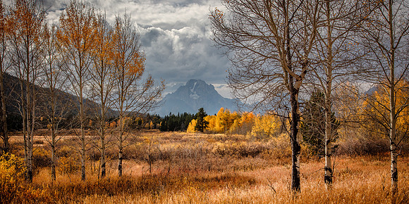 _D8A7917-2x1 Crop