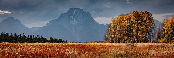 _D8A7952 3x1 Crop