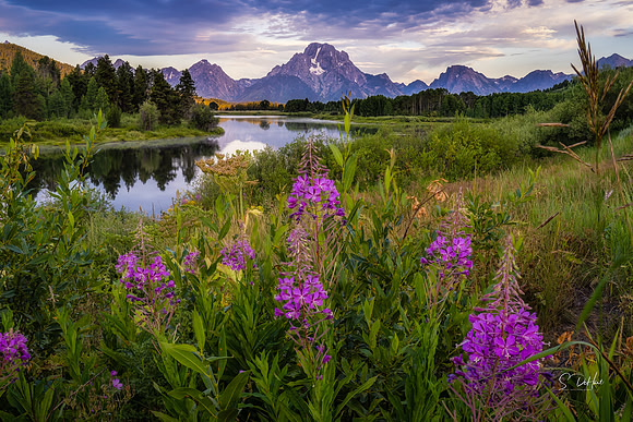 Sunrise at Ox Bow Bend, Grand Teton NP _DSC5351