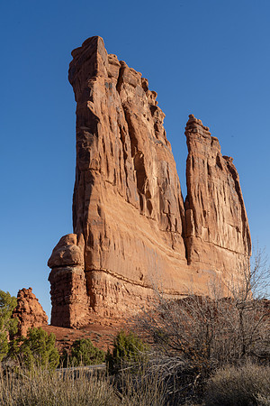 _DSC9041
