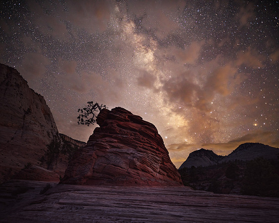The Bonsai and the Milky Way - Zion National Park