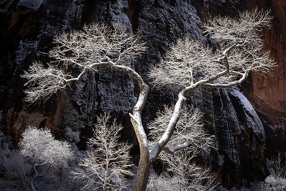 _DSC7978 2x3