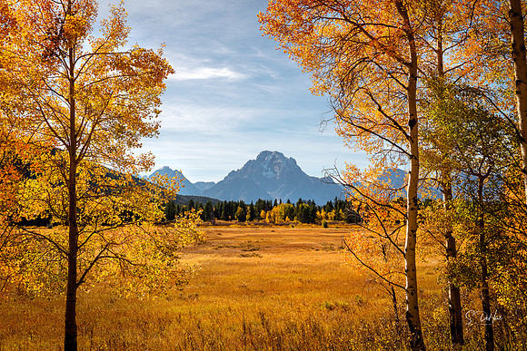 _DSC2660 2x3 Crop LR