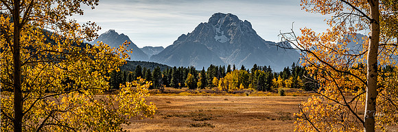 _DSC2664 3x1 Crop