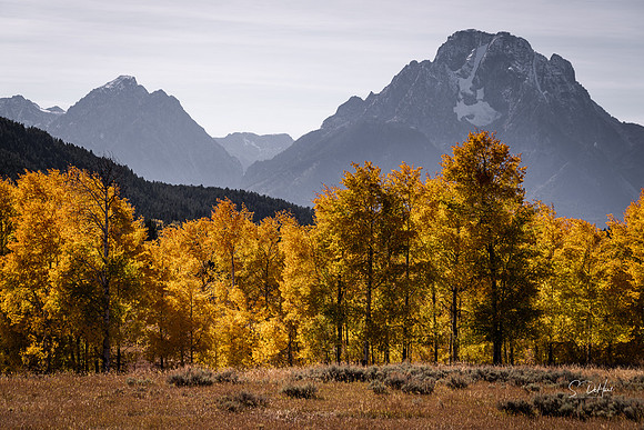 _DSC2682 2x3 Crop