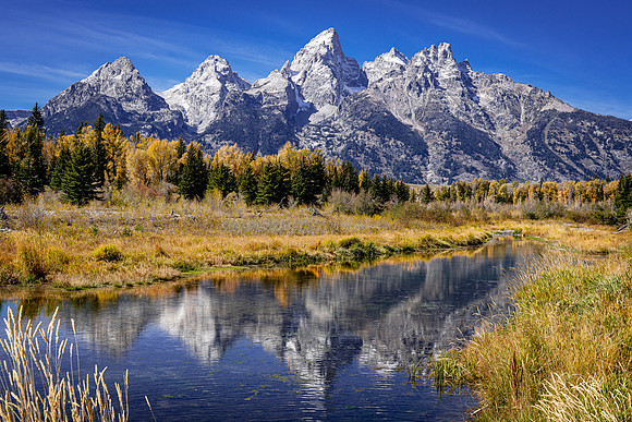 _DSC2623 2x3 Crop