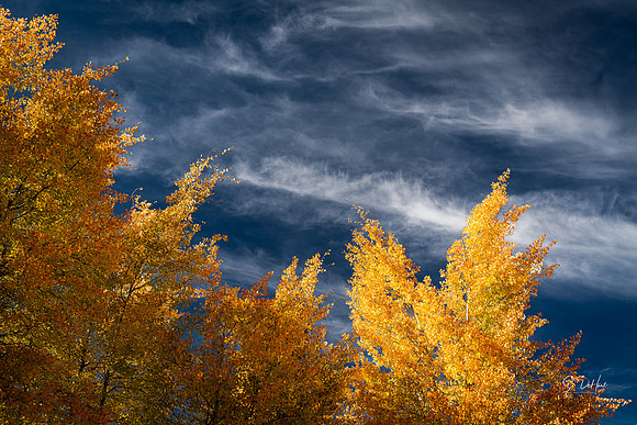_DSC2657 2x3 Crop