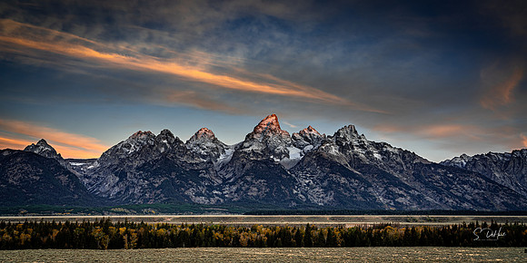 _DSC2537 2x1 Crop