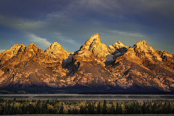 _DSC2563-2x3 Crop